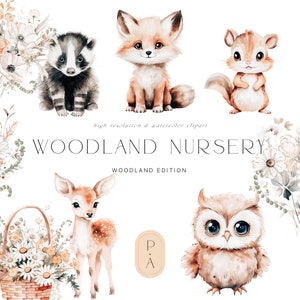 Schattige bosbabydieren - schattige kinderkamerdieren - bosclipart - bosbaby's - bosfauna - onbeperkte verkooplicentie inbegrepen