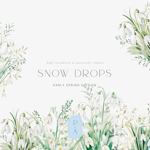 Snowbells Floral Clipart - Clipart primaverile - Clipart floreale selvaggio - Fiori selvatici - Fiori di neve - Gocce di neve