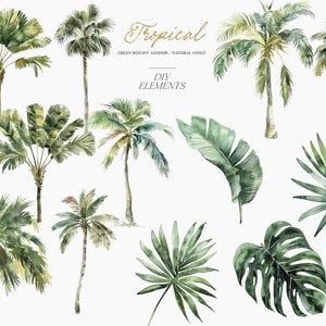 May include: A set of watercolor illustrations of tropical plants, including palm trees, banana leaves, and monstera leaves. The illustrations are in shades of green and are perfect for adding a touch of the tropics to your designs.