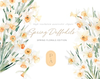 Watercolor Daffodil Clipart - Daffodil Clipart - Spring Clipart - Wedding Clipart - Floral Clipart - Premade Bouquets - Daffodil Clipart