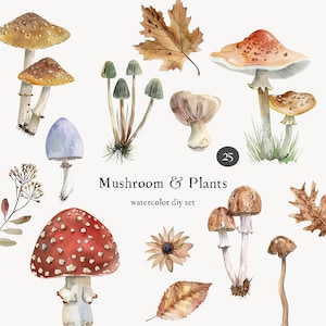 Clipart di funghi acquerello - Funghi selvatici - Clipart acquerello autunnale - Boschi - Clipart foresta
