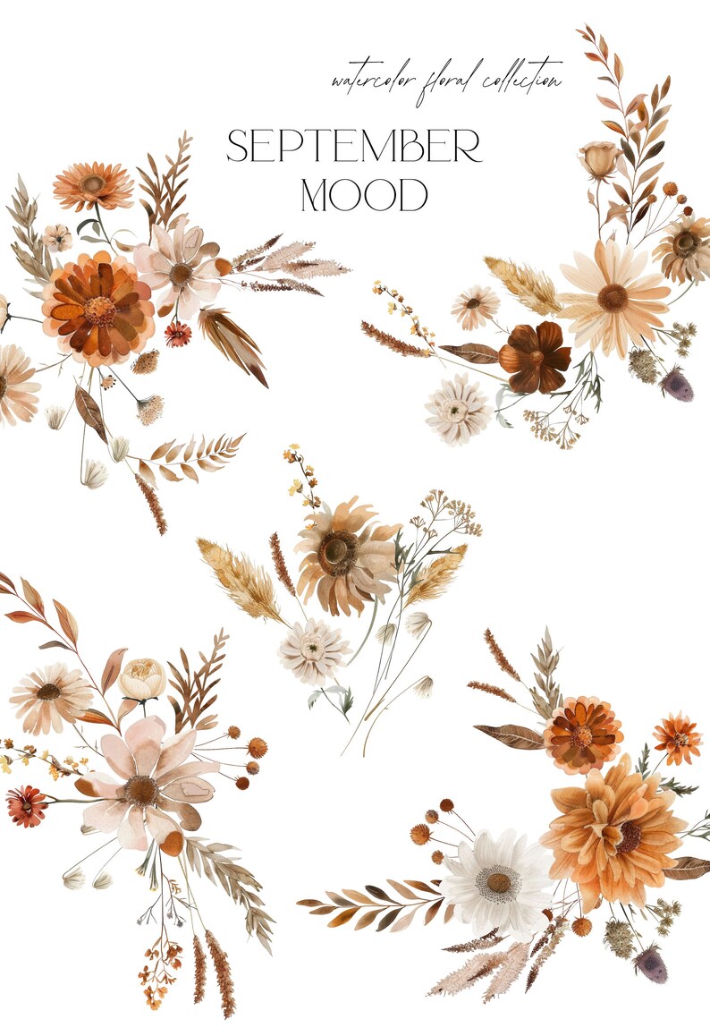 K&ouml;nnte beinhalten: Aquarell-Blumenkollektion mit dem Text "SEPTEMBER MOOD". Das Bild zeigt f&uuml;nf Str&auml;u&szlig;e getrockneter Blumen in Braun-, Beige- und Wei&szlig;t&ouml;nen. Die Str&auml;u&szlig;e beinhalten G&auml;nsebl&uuml;mchen, Sonnenblumen und andere Wildblumen.