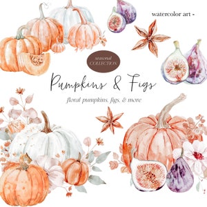 Florale Kürbisse Clipart - Aquarell Kürbisse - Weiße Kürbisse - Herbst Clipart - Feigen - Feige Clipart - Blumen - unbegrenzte Verkaufslizenz