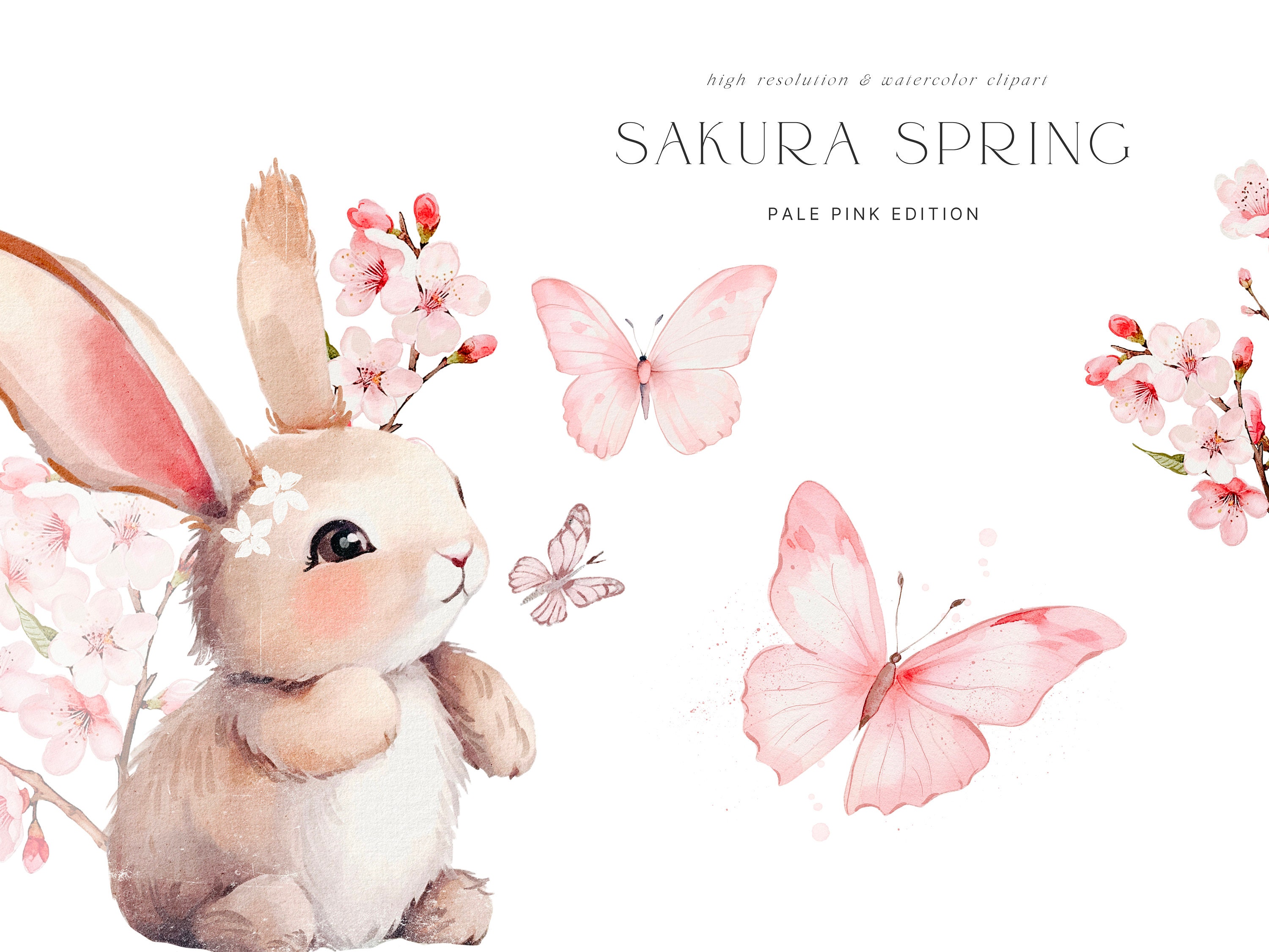 Watercolor Cherry Blossom Spring Clipart - Bunnies - Spring Clipart ...
