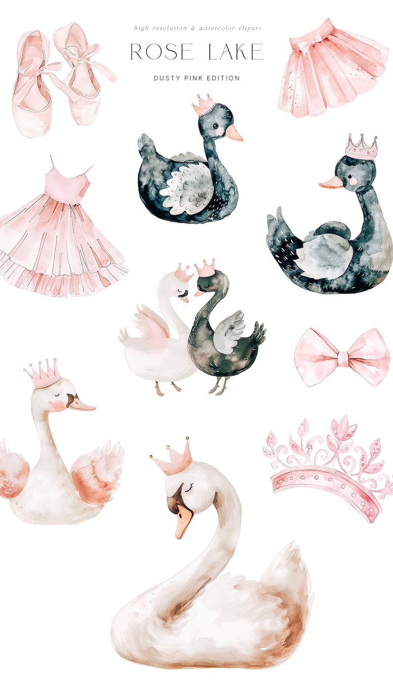 Swan & Ballerina Watercolor Clipart Dusty Pink Ballerina Clipart Floral Bouquets Swan Clipart Set Ballet Unlimited Sales License image 3