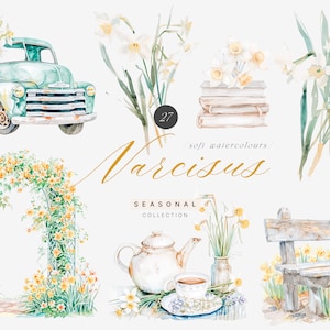 Frühling Narzisse Aquarell Clipart - Frühling Clipart - Frühling Set - Gelbe Frühlingsblumen - Narzisse Clipart Frühling