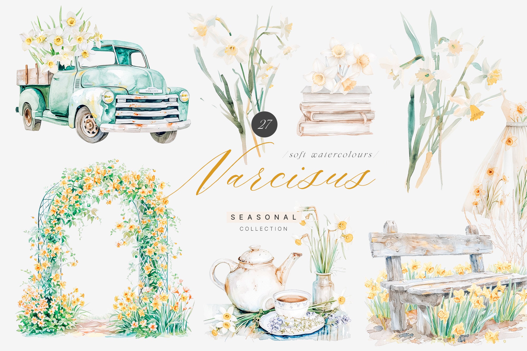 Spring Daffodil Watercolor Clipart - Spring Clipart - Spring Set ...