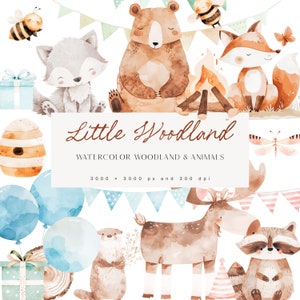 Conjunto fofo de clipart da floresta em aquarela - Clipart da floresta - Animais da floresta - Berçário em aquarela - Festa na floresta - Licença de vendas ilimitada