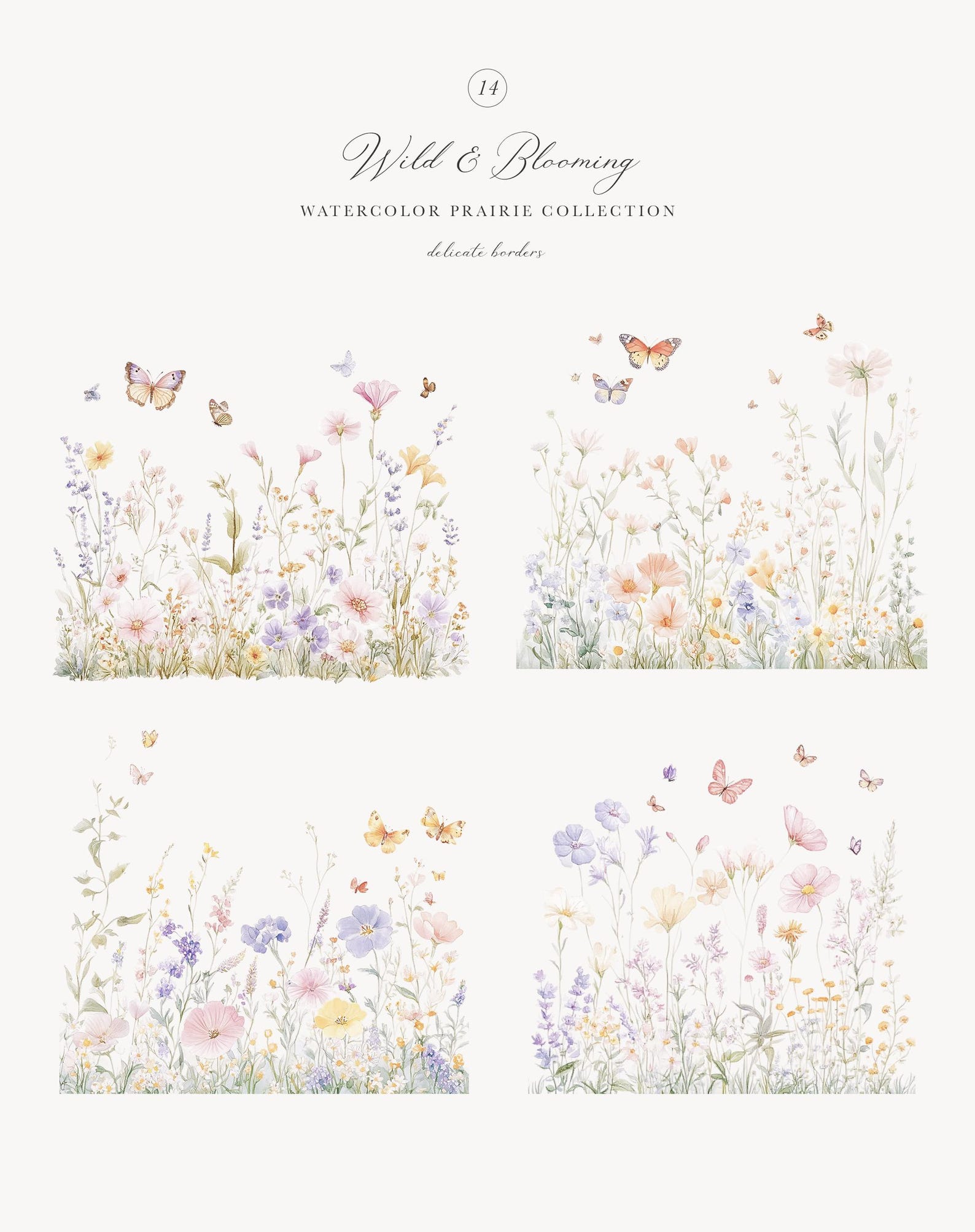 Prairie Border Watercolor Wild Flower Collection of Prairie Borders - Watercolor ...