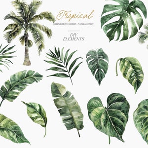 May include: Watercolor illustrations of tropical plants and leaves, including palm trees, monstera leaves, and banana leaves. The illustrations are in shades of green and are perfect for crafting and design projects.