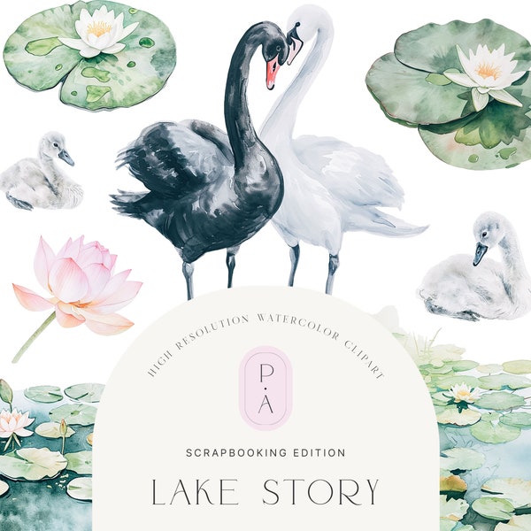 Watercolor Swans Clipart Set - Lake Clipart - Lily Pads - Lotus Flowers - Scenery’s - Scrapbooking - Black Swan - Unlimited Extended License