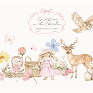 以下が含まれることがあります： 「Springtime in the Meadow」と題された水彩イラスト。ピンクのドレスを着たウサギ、鹿、フクロウ、その他の森の生き物が描かれています。花、蝶、キノコが含まれています。このアートワークは、ソフトなパステルカラーパレットです。