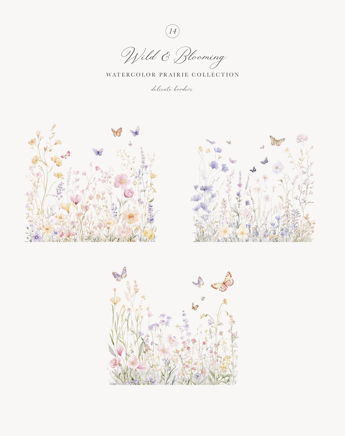 Prairie Border Watercolor Wild Flower Collection of Prairie Borders - Watercolor ...