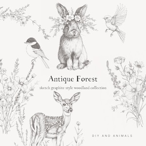 Colección Cottagecore Woodland de grafito de estilo antiguo - Woodland Clipart - Woodland Animals