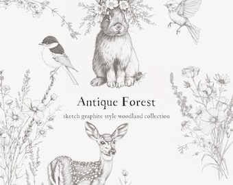 Antique Style Graphite Woodland Cottagecore Collection - Woodland Clipart - Woodland Animals