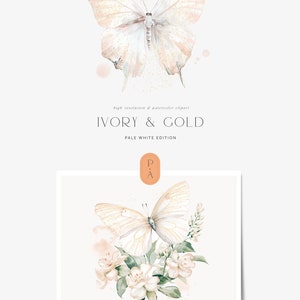 Pu&ograve; includere: Illustrazione ad acquerello di una farfalla bianca con accenti dorati, circondata da fiori bianchi e foglie verdi. L'immagine ha il testo "IVORY & GOLD" e "Pale White Edition".