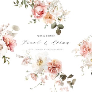 Clipart acquerello pesca e crema Blush - Fiori ad acquerello - Clipart Rose - Clipart peonia - Blush e crema - Rosa tenue - Illimitato