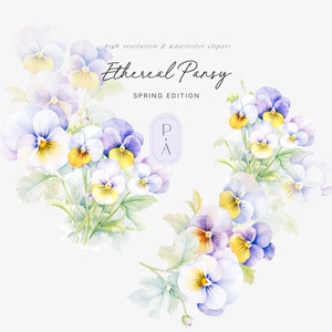 Stiefmütterchen und Veilchen Aquarell Clipart - Aquarell Stiefmütterchen - Violette Stiefmütterchen - Frühling Stiefmütterchen - Frühlingsblumen - Frühlings Clipart - unbegrenzte Verkäufe