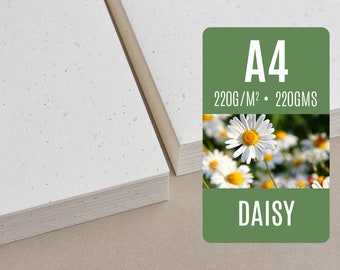 220 GSM Seed paper A4 - Daisy - Bulk of blank plantable seeded paper sheets wholesale