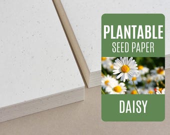 Seed Paper Daisy - Bulk of blank plantable seeded paper sheets wholesale 150gsm 250gsm A4 A5 A6 letter size