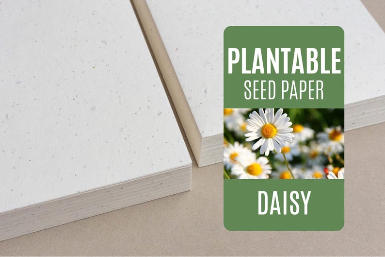 Seed Paper Daisy - Bulk of Blank Plantable Seeded Paper Sheets ...