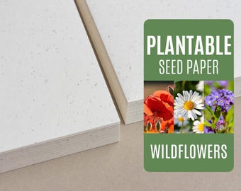 Seed Paper Wildflower Mix Poppy Daisy Myosotis - Bulk of blank plantable seeded paper sheets wholesale 150gsm 250gsm A4 A5 A6 letter size
