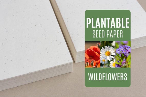 survival garden seed Survival Garden Seeds: 6 Pest Defense Herb & Flower Seeds