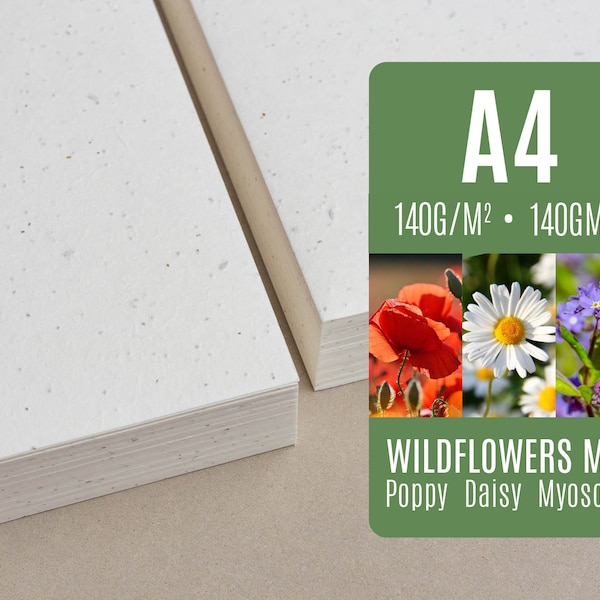 Saatpapier im A4-Format – Mischung aus Wildblumen, Mohn, Gänseblümchen und Myosotis – Stapel von Saatpapierbögen zum Pflanzen im Großhandel