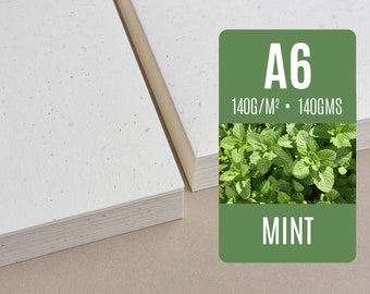 Seed paper A6 - Mint - Bulk of blank plantable seeded paper sheets wholesale