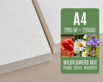 220 GSM Seed paper A4 - Wildflower Mix Poppy Daisy Myosotis - Bulk of blank plantable seeded paper sheets wholesale