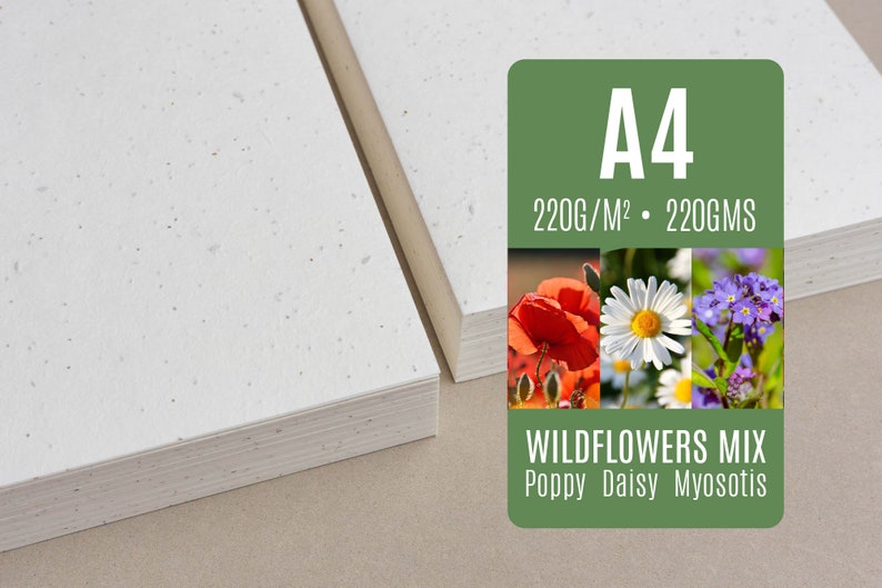 220g Papier ensemencé A4 Mélange fleurs sauvages Coquelicot Marguerite Myosotis lot de feuilles papier graines à planter vente en gros image 1