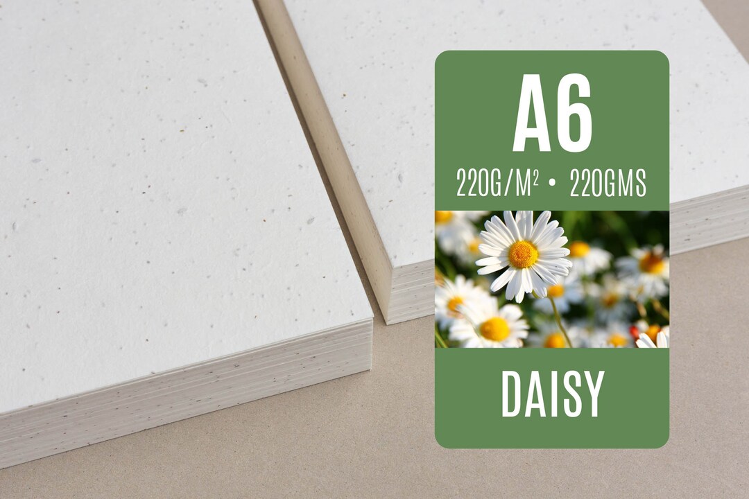 220 GSM Seed Paper A6 - Daisy - Bulk of Blank Plantable Seeded Paper ...