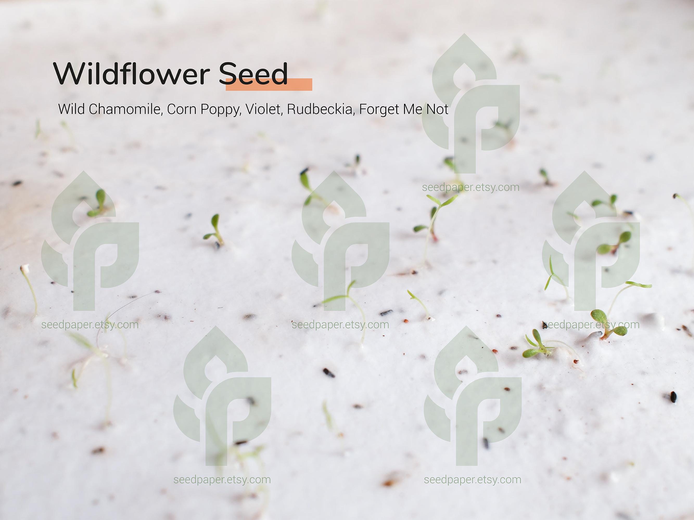 Bulk Handmade Plantable Seed Paper 300g Premium - Pack 10 Sheets A4 ...