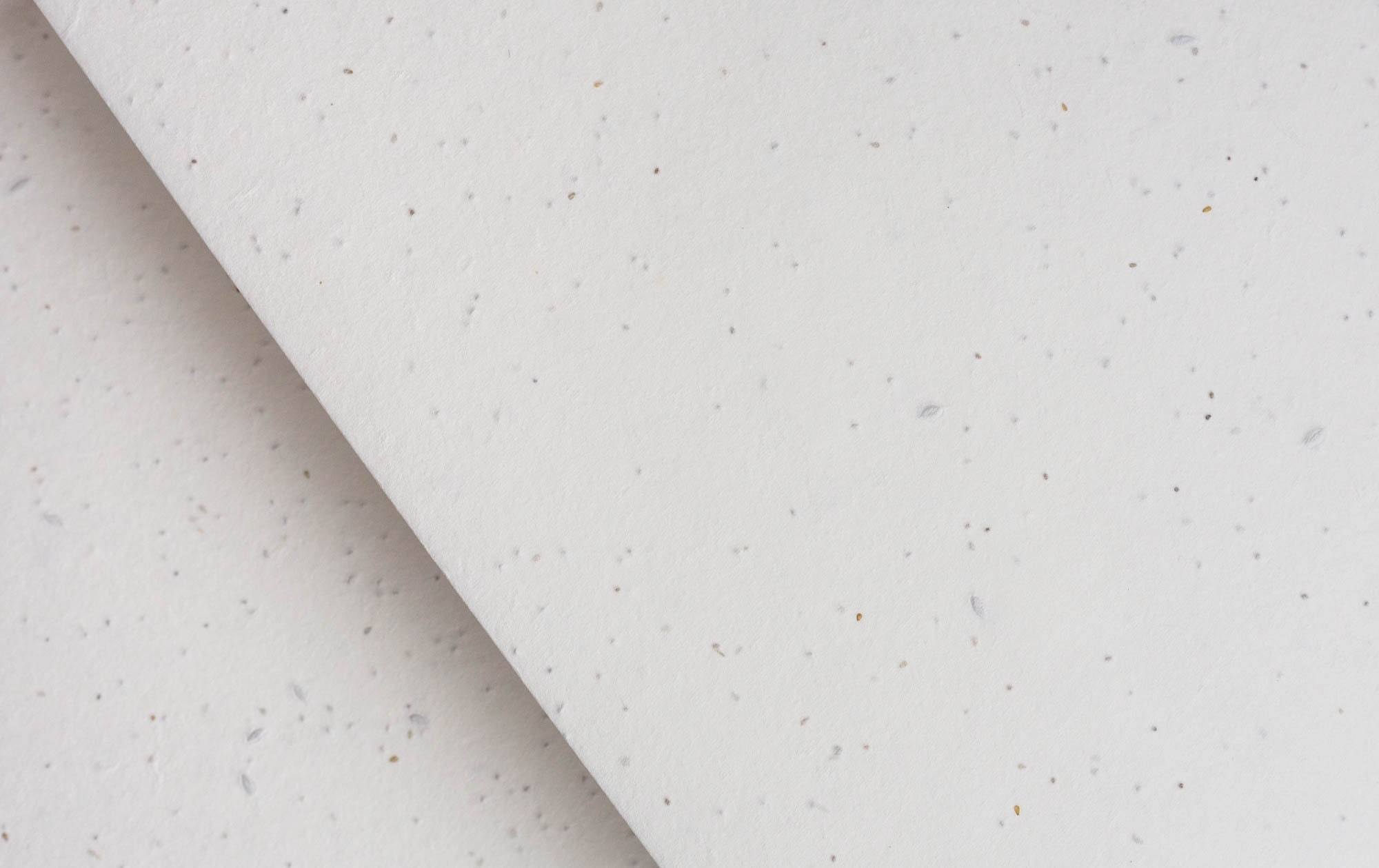 Seed Paper Poppy - Bulk of Blank Plantable Seeded Paper Sheets ...