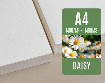 A4 seeded paper - Daisy - lot of seed paper sheets to plant wholesale
