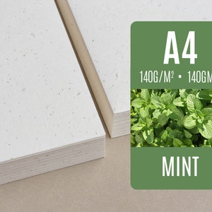 Seed paper A4 Mint Bulk of blank plantable seeded paper sheets wholesale zdjęcie 1