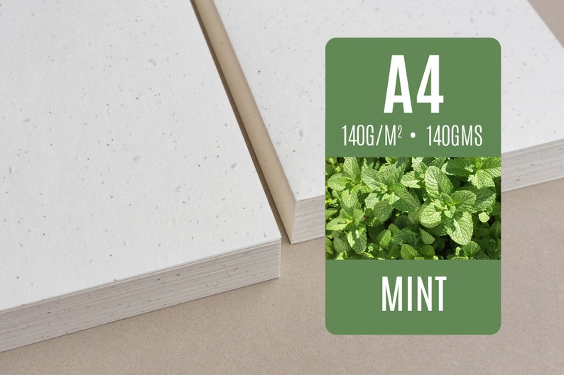 Seed paper A4 Mint Bulk of blank plantable seeded paper sheets wholesale zdjęcie 1