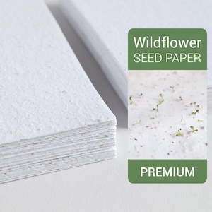 Carta seminata Premium 300 g - Confezione da 10 fogli A4 - Mix di fiori selvatici - Set di carta seminata fatta a mano