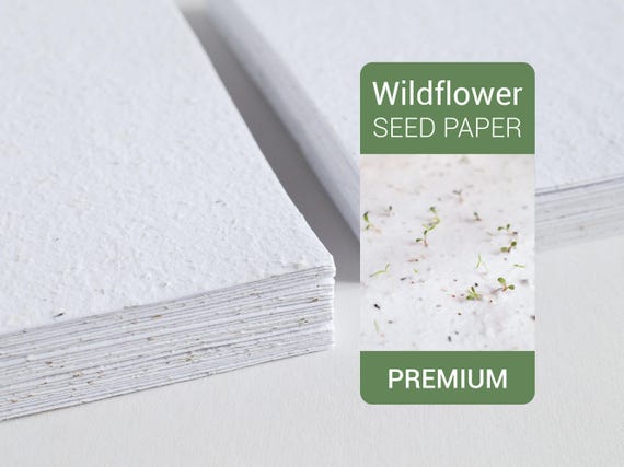 Papier ensemencé premium 300g - paquet de 10 feuilles A4 - Mélange Fleurs Sauvages - lot papier graines à planter fabriqué à la main