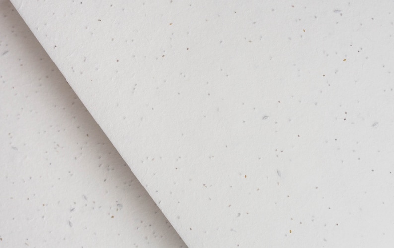May include: Close-up of a white textured paper with small flecks of brown and gray. The paper is folded in half, creating a diagonal line.