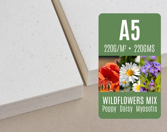 220 GSM Seed paper A5 - Wildflower Mix Poppy Daisy Myosotis - Bulk of blank plantable seeded paper sheets wholesale
