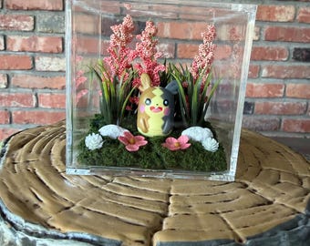 Morpeko Pokémon Electric Type Dark Type Forest Scene Floral Terrarium Diorama in Small Square Plastic Display Box