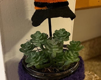 Pot maçon d’Halloween fait à la main | décor de sorcière | décor d’Halloween succulent | plante d’Halloween au crochet | crochet succulent | Décor prêt à expédier