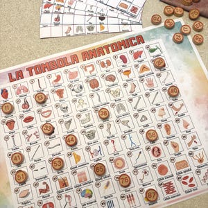 Può includere: Gioco del bingo a tema anatomico con un tabellone grande, carte e gettoni di legno. Il tabellone e le carte presentano illustrazioni di parti e organi del corpo umano, con il titolo italiano "LA TOMBOLA ANATOMICA".