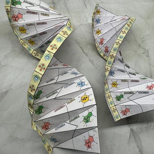 Può includere: Due modelli di carta di una doppia elica di DNA. I modelli sono bianchi con ombreggiatura grigia e presentano diagrammi etichettati della struttura del DNA. Le etichette includono "GUANIMA", "CITORIMA", "ADENIMA" e "TIMIMA".