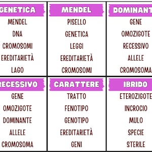 Taboo Scientifico immagine 4