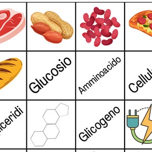 Gioco Biomolecole