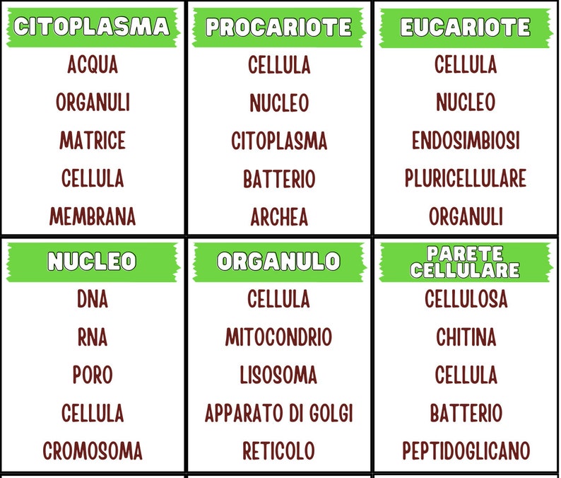 Taboo Scientifico immagine 6