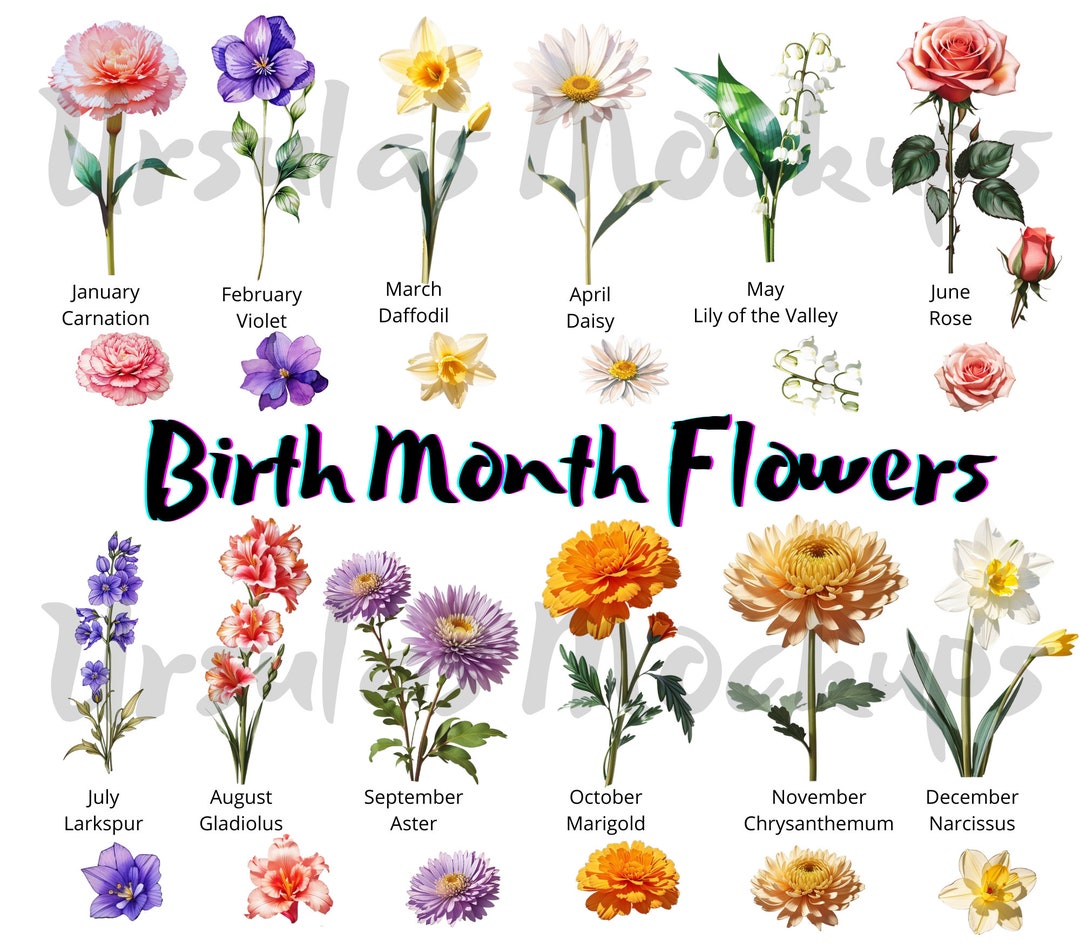 Watercolor Birth Month Flower. Clipart PNG Birth Month Floral Bundle ...