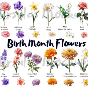 Watercolor Birth Month Flower. Clipart PNG Birth Month Floral Bundle. Digital Graphics Instant Download.